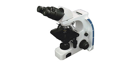 MICROSCOPE